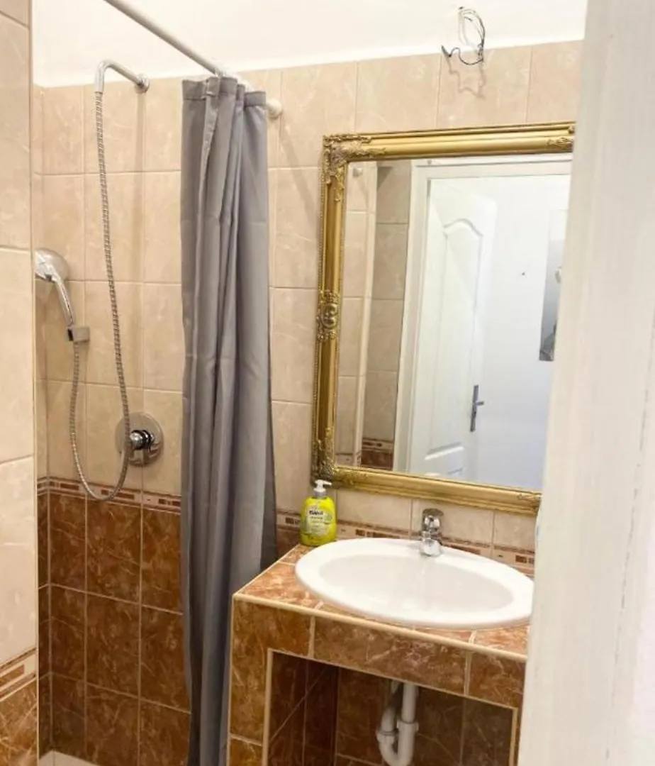 Spring Roses Downtown Boutique Hotel - All Budapest Apartment