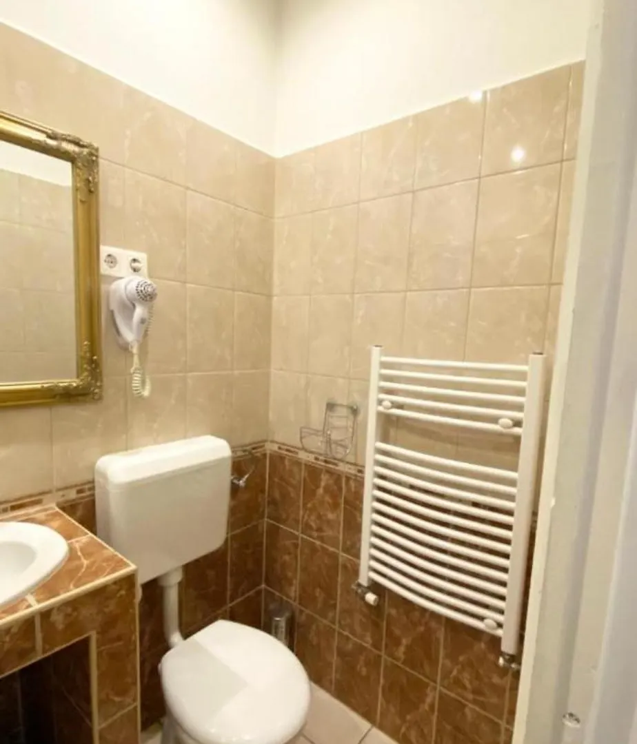 Spring Roses Downtown Boutique Hotel - All Budapest